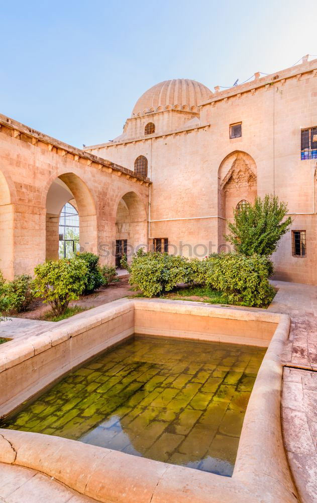 Similar – Image, Stock Photo Pond in the garden Elegant