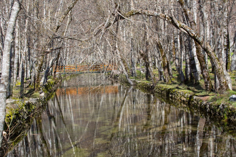 Similar – water gate Nature