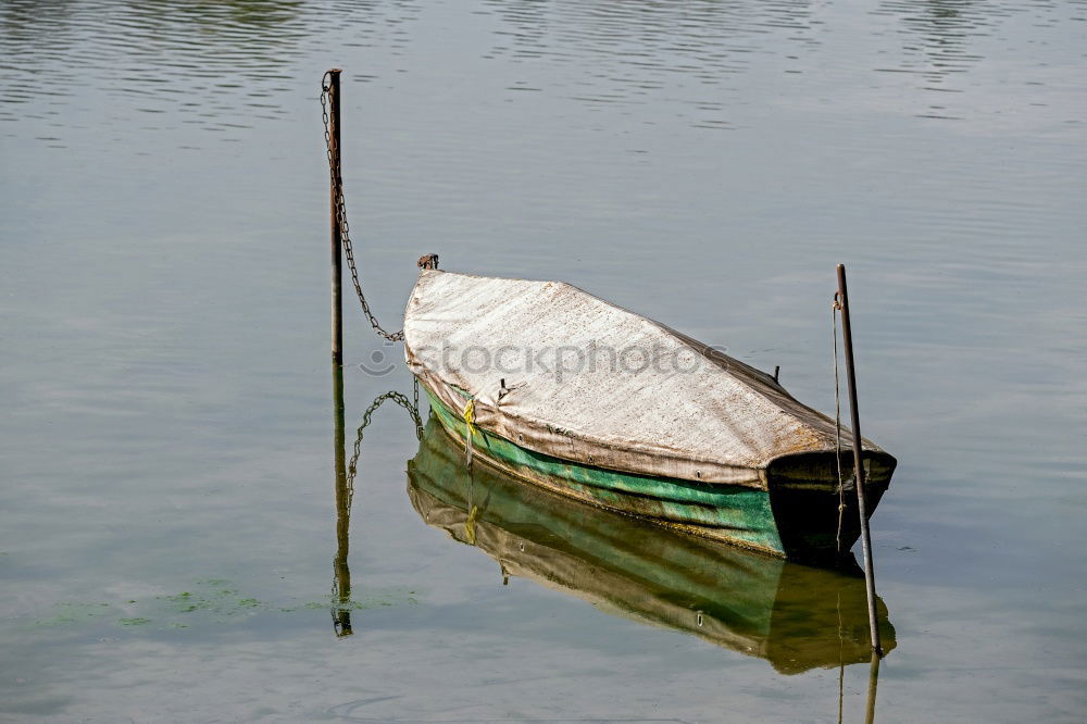 Similar – aufgelaufen Farbfoto