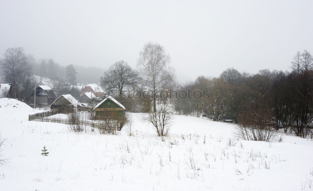 Similar – Strict winter in the Black Forest