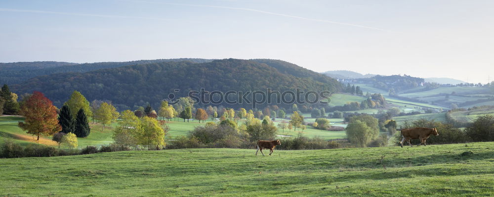 Similar – Beauty Switzerland