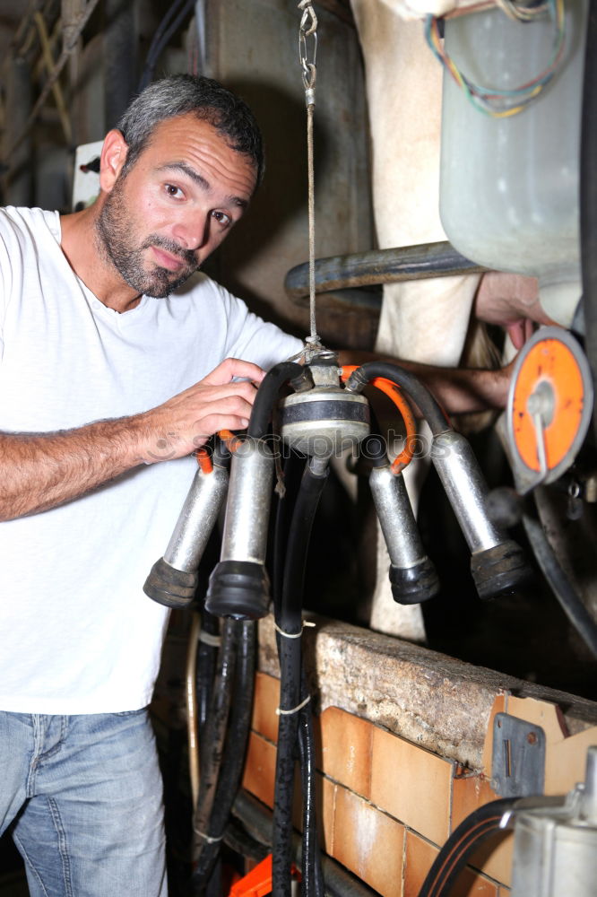 Similar – Image, Stock Photo Professional carpenter sanding and refinishing wood surface.