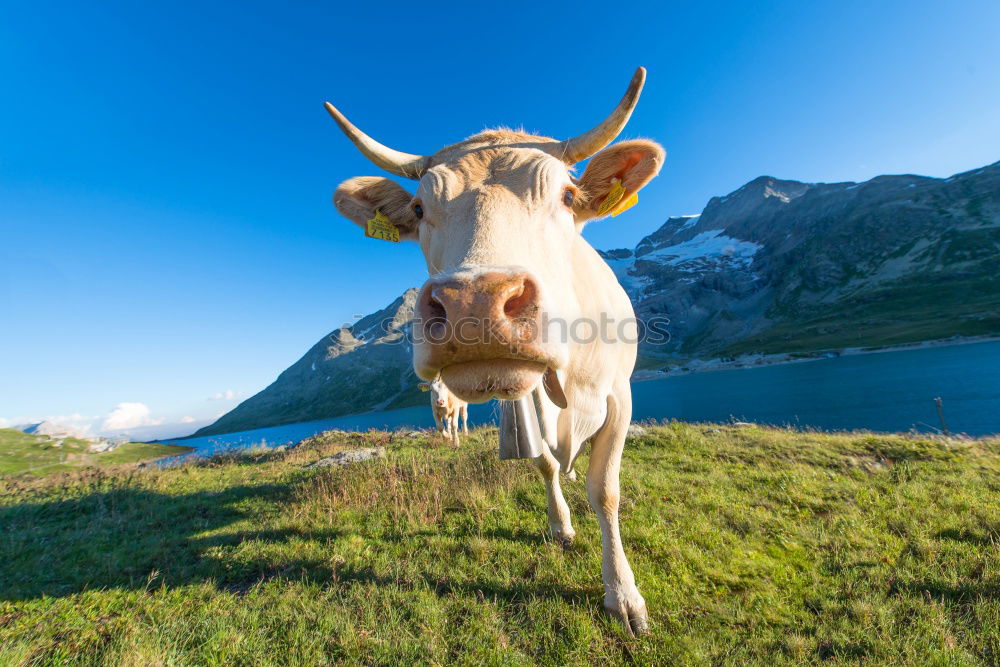 Similar – und du? Berge u. Gebirge