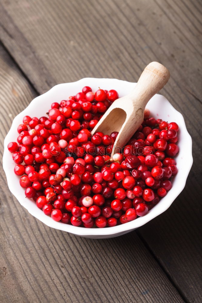 Similar – Cranberries in a bowl