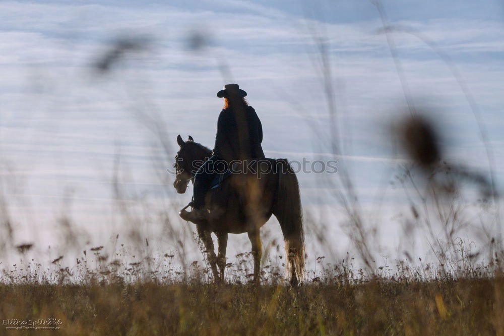 Departure, a lone rider with hat and blue shirt rides by