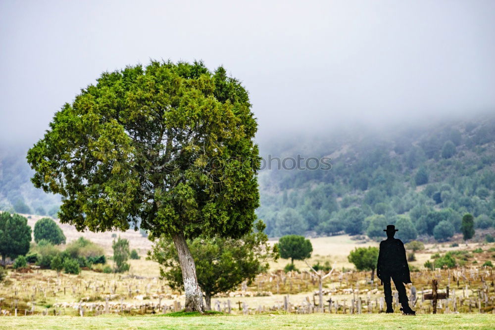 Similar – Sitting underneath a tree