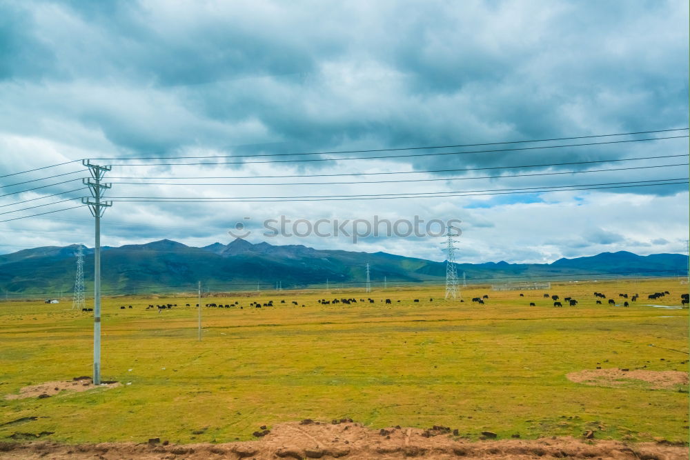 Similar – Image, Stock Photo Horses around Song Kul lake, Kyrgyzstan