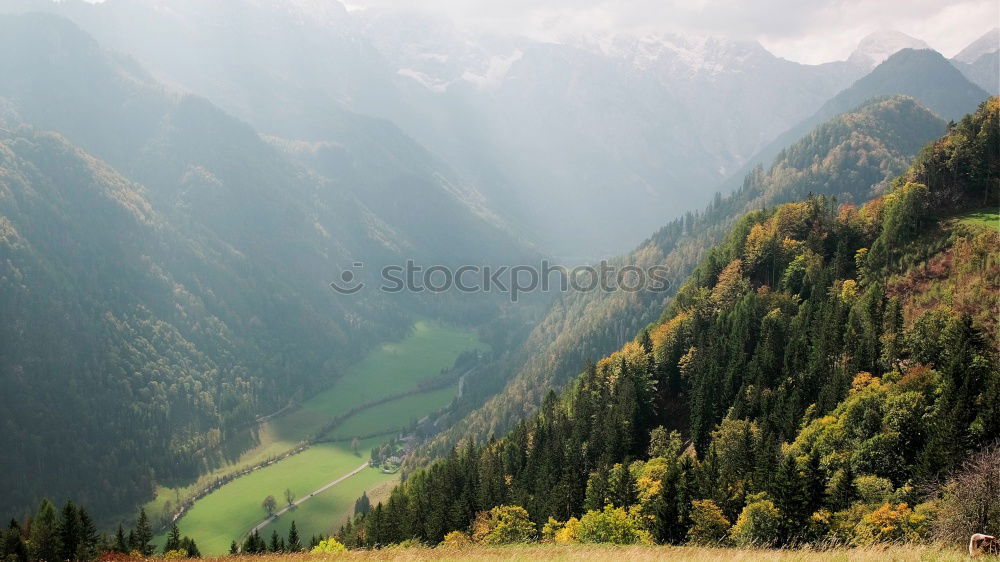 Similar – Image, Stock Photo Dolomites Forest White