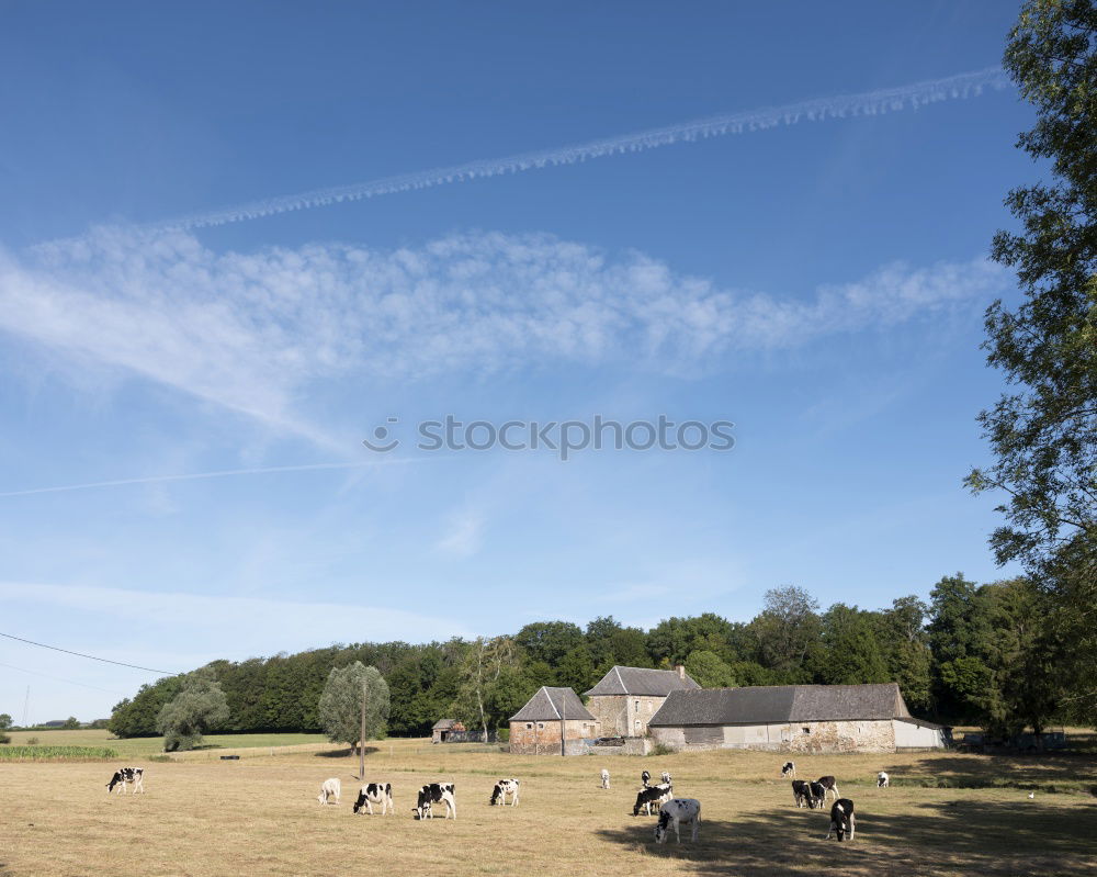 Similar – Image, Stock Photo Small copy Sky Clouds