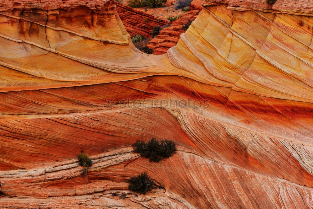 Similar – Image, Stock Photo The Wave Erosion Rock