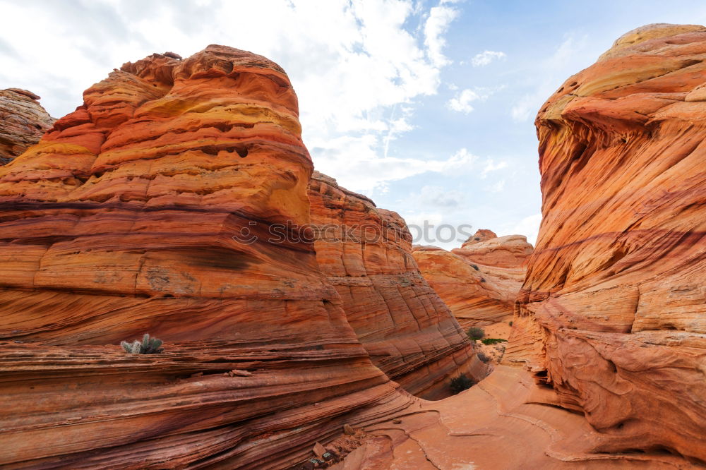 Similar – Landscape photograph of Monument Valley