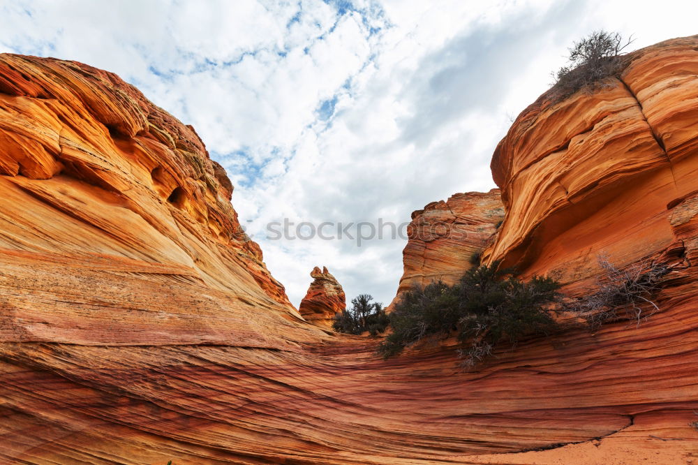 Similar – Image, Stock Photo Canyonlands Relaxation