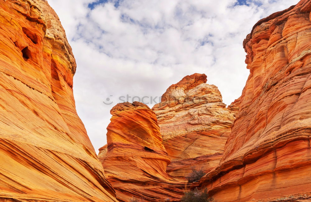 Similar – Image, Stock Photo o africa and river Summer