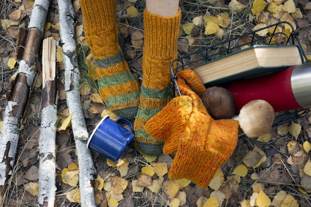 Similar – Image, Stock Photo Bridal couple feet on wood on watering can