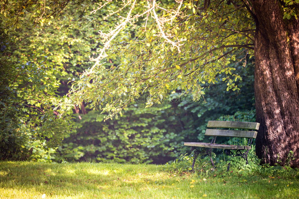 Similar – empty chair Chair