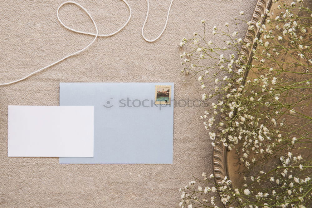 Similar – Image, Stock Photo Studio Braun