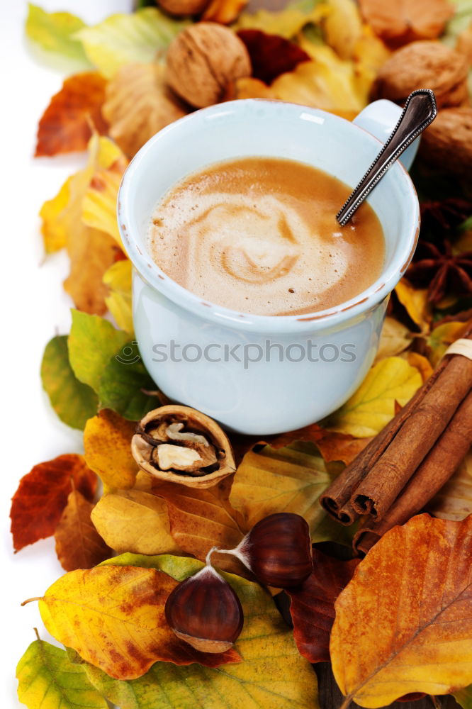 Similar – Image, Stock Photo Pumpkin spice latte coffee