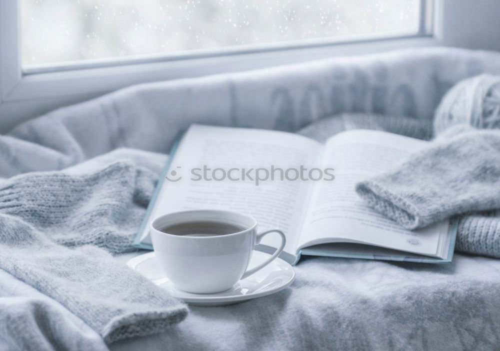 cozy autumn morning at home. Hot cocoa with marshmallows
