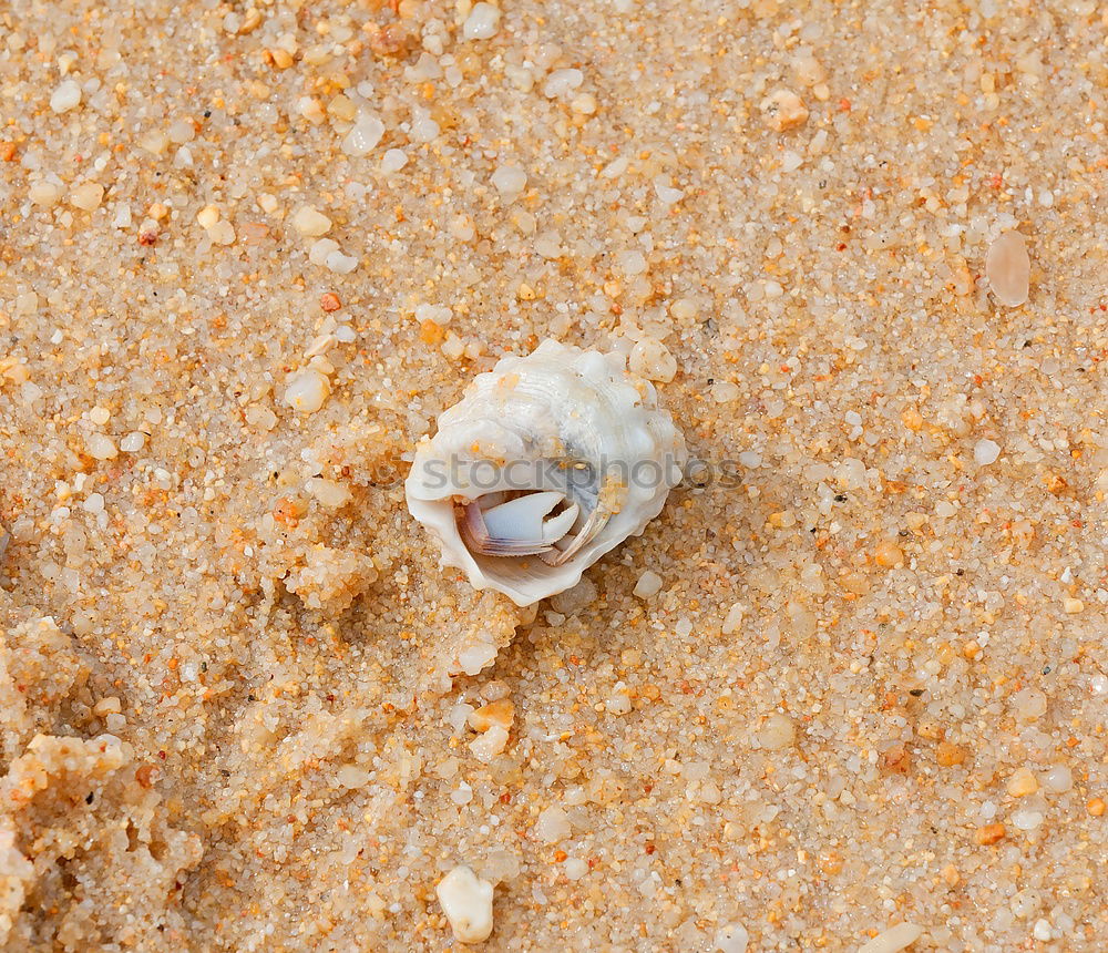 Similar – Foto Bild durstig Umwelt Natur