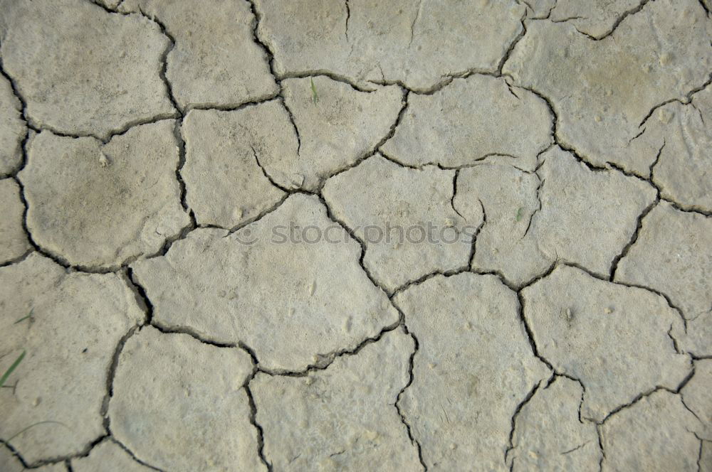 Similar – Image, Stock Photo Dried and cracked earth