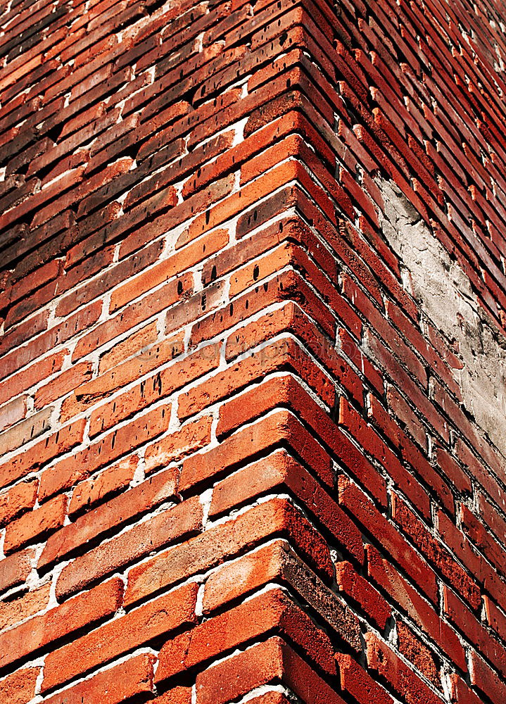 Foto Bild another brick in the wall