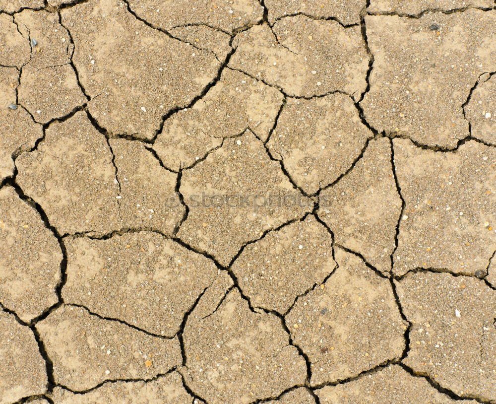 Similar – brown dry sand in sahara