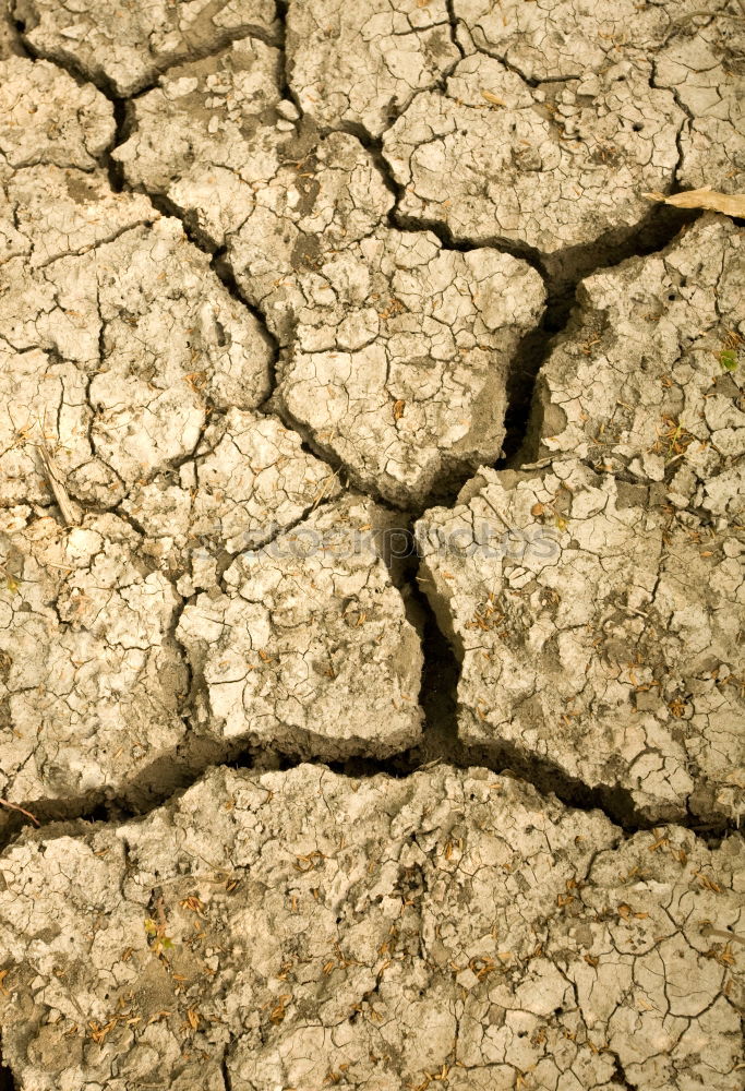 Similar – yellow tennis ball on the dessert ground