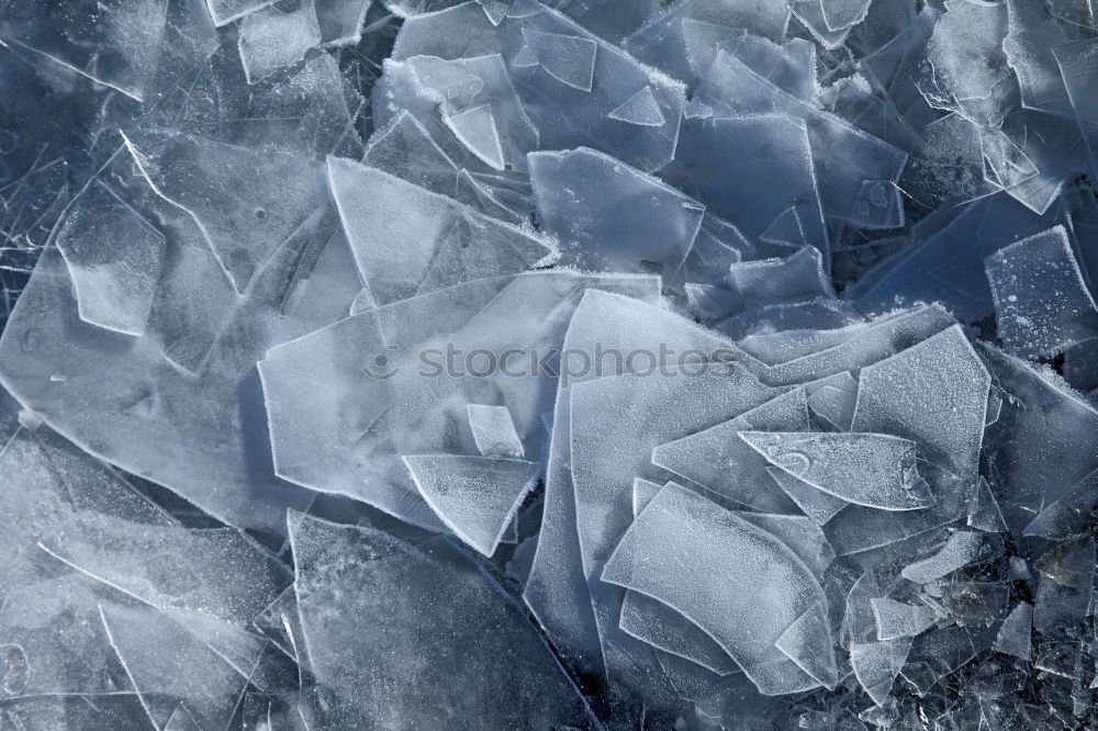 Similar – rote Rosenblätter liegen in einer Wasserpfütze