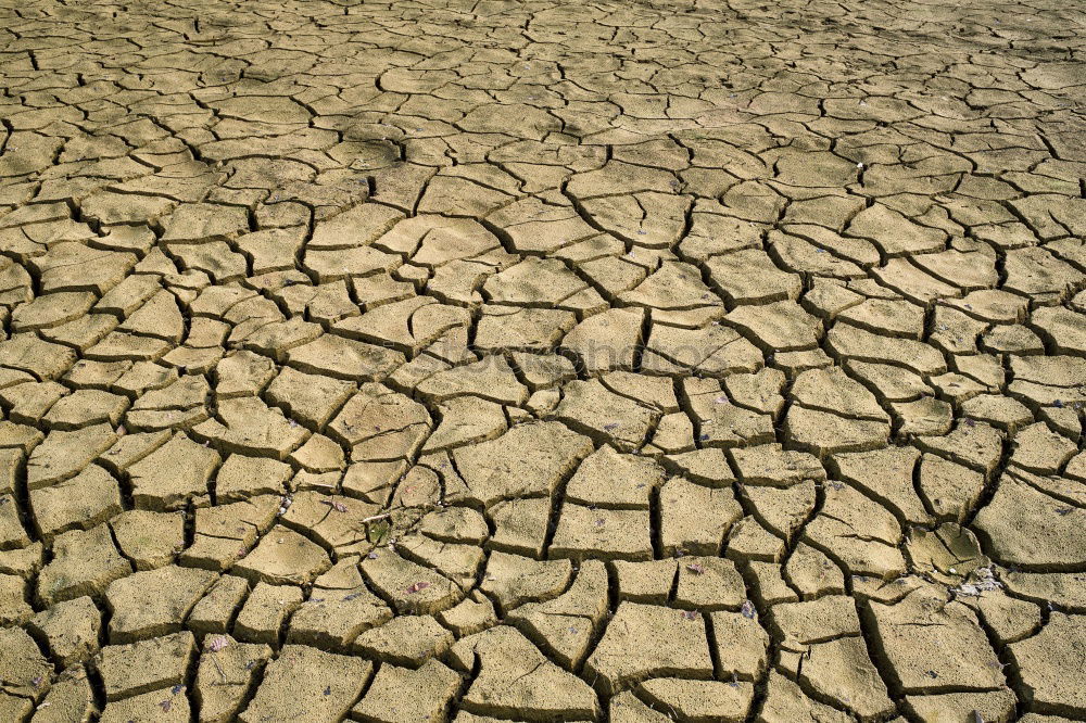 Similar – Dry And Dirty Drought