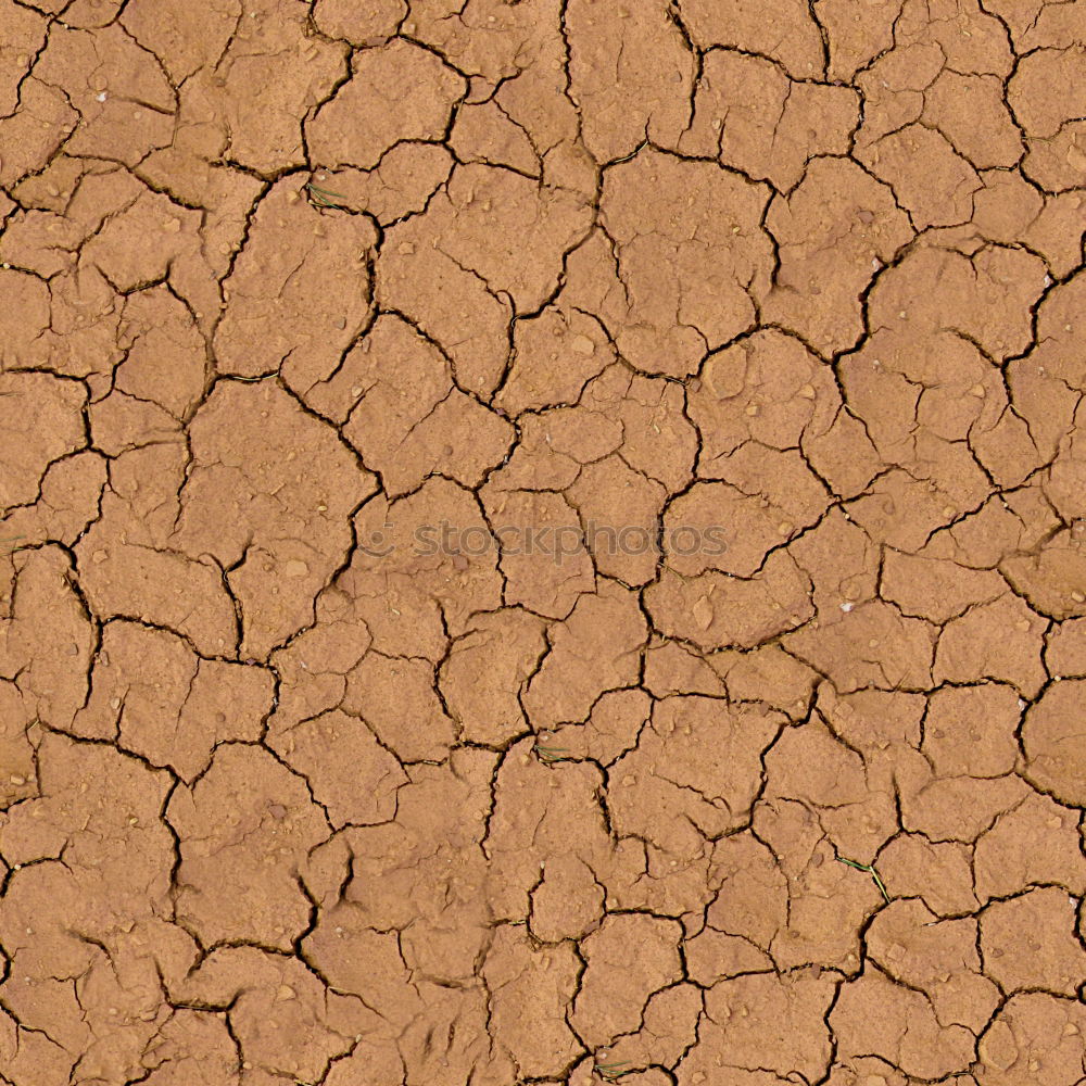 Similar – Texture cracked, dry the surface of the earth.