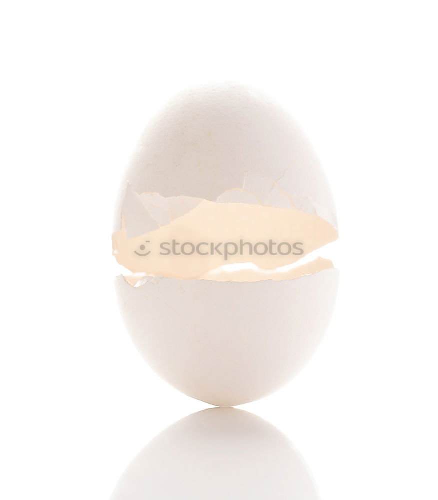 Similar – Image, Stock Photo breakfast egg Egg Oval