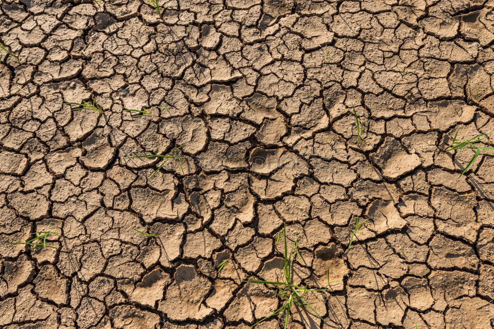 Similar – Image, Stock Photo Dry yellow soil in the desert