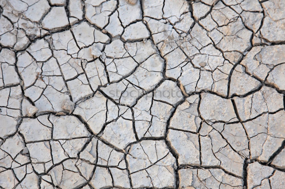 Similar – Image, Stock Photo earth_1 Nature Earth Sand