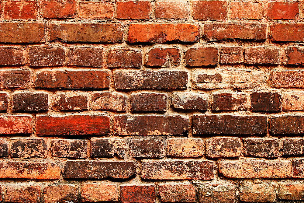 Similar – Abgefallener Putz an Backsteinwand. Verwitterte  Wand aus Backstein, Naturstein und marodem Putz. Sanierungsbedürftig