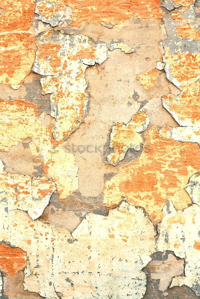 Similar – yellow in texture wall