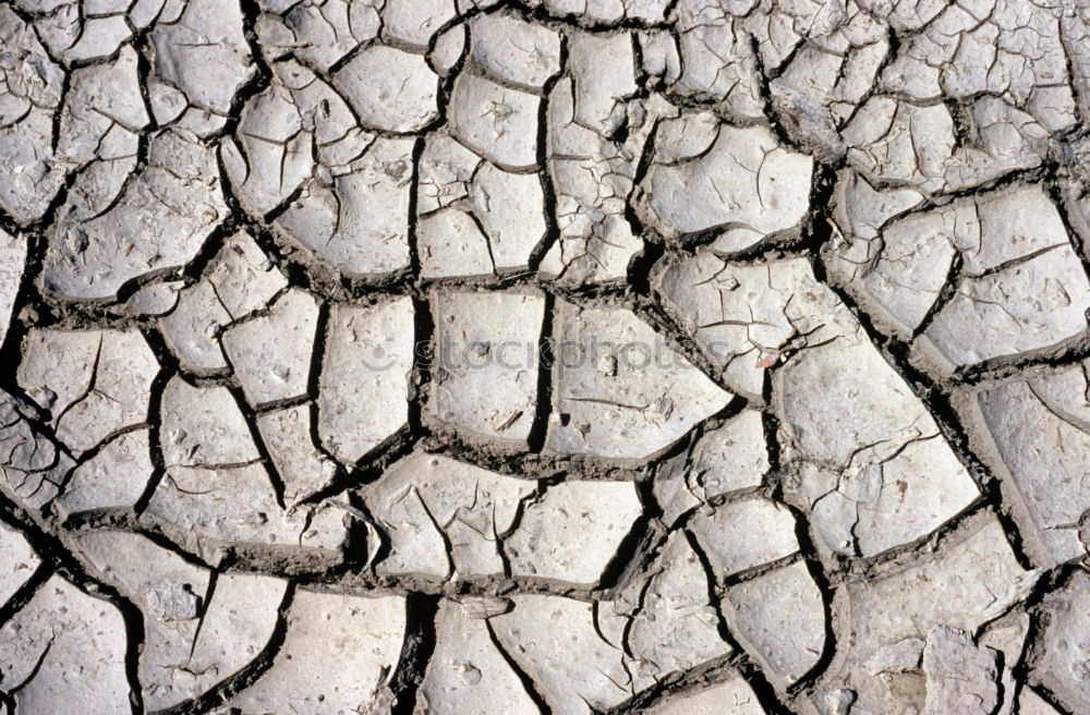 Similar – Image, Stock Photo Mini Grand Canyon Dry