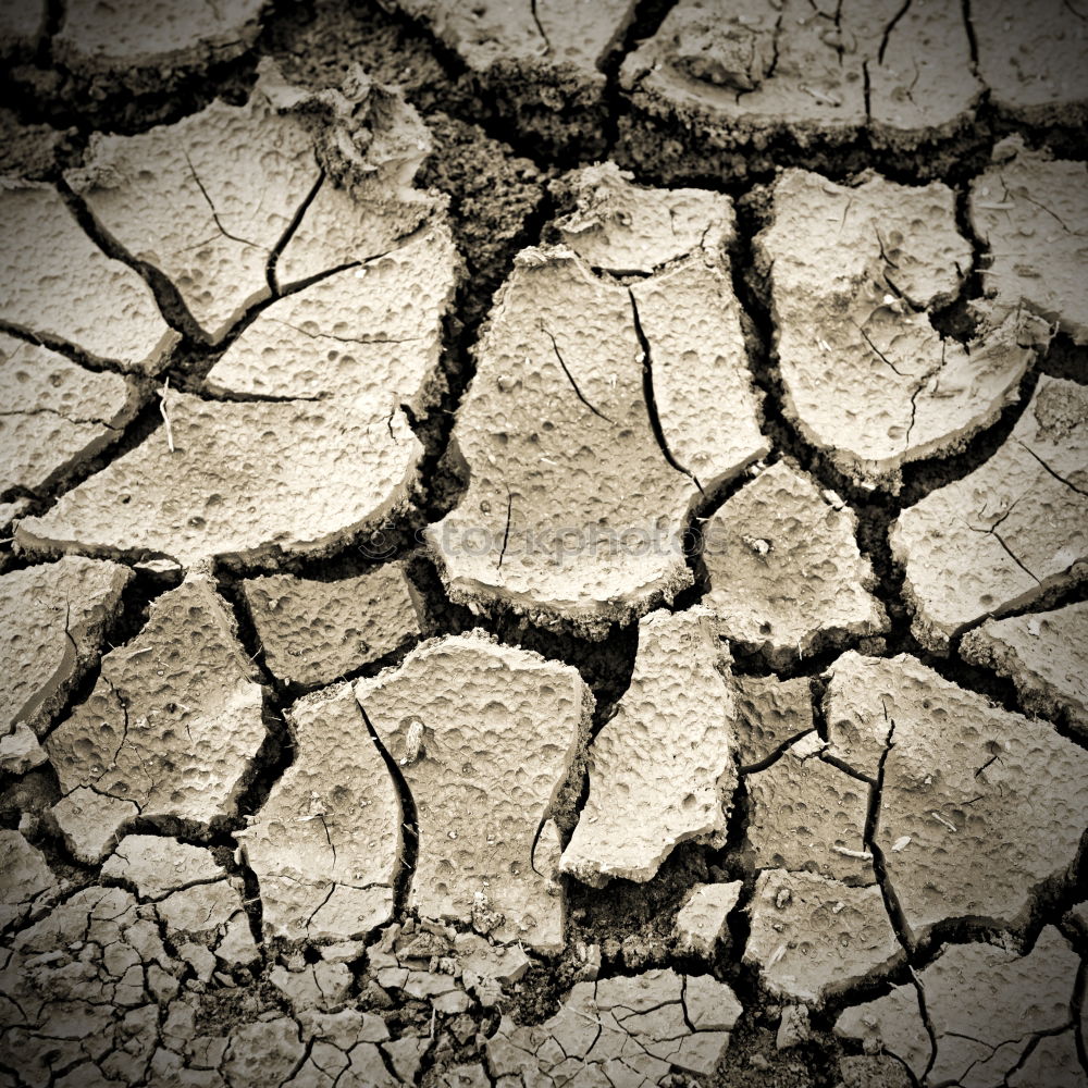 Image, Stock Photo earth_1 Nature Earth Sand