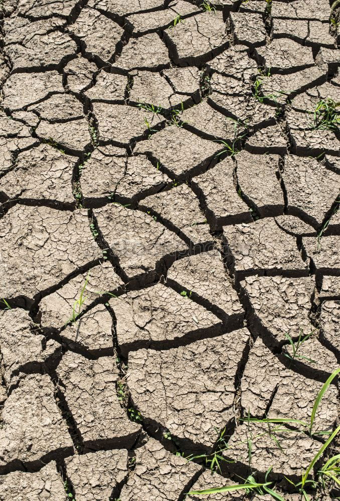Similar – Image, Stock Photo Cracked soil Summer