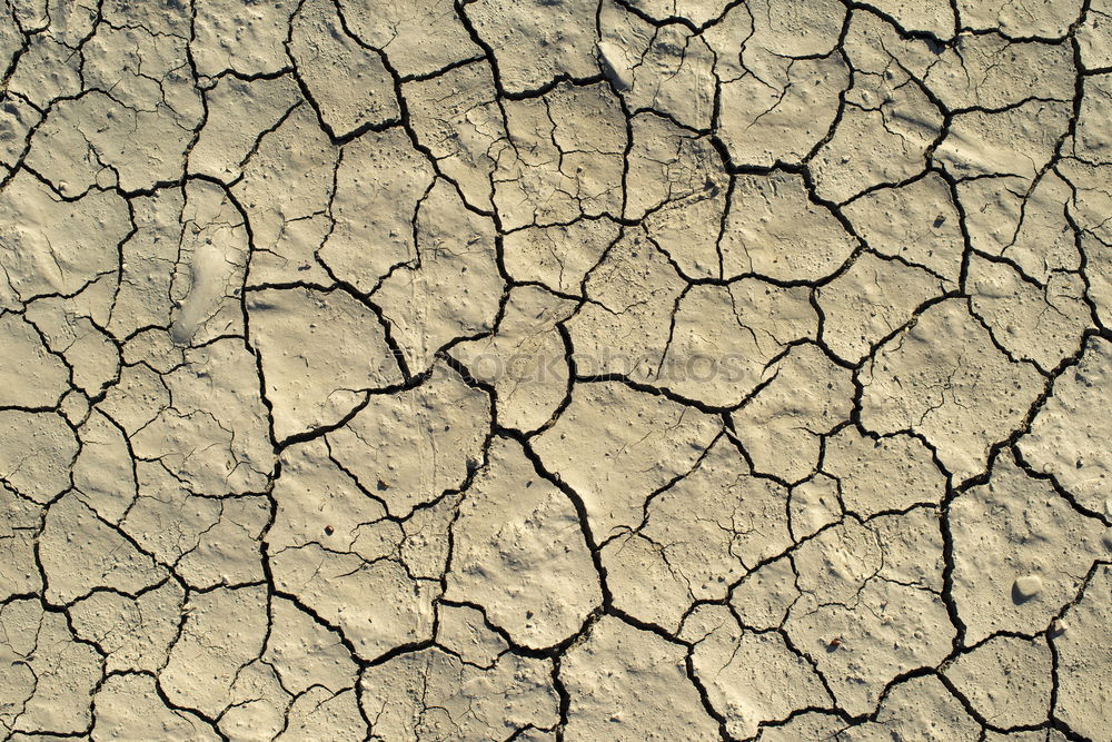 Similar – parched Dry Drought Loam