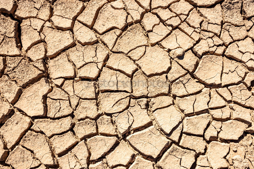 Similar – parched Dry Drought Loam