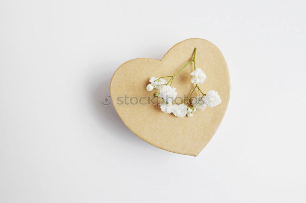 Similar – Image, Stock Photo herbarium Elegant Style