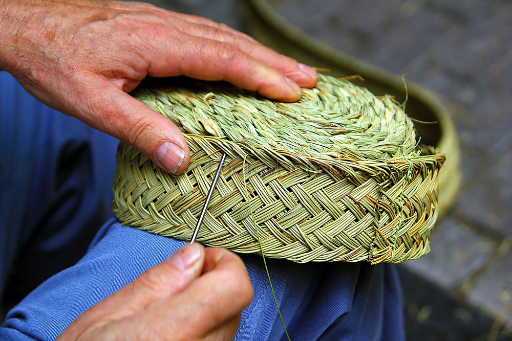 Similar – Close up of the hands of an elderly woman knitting sock