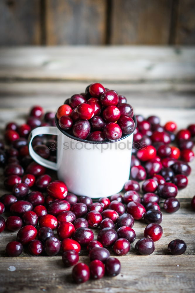 Similar – Cranberries in a bowl