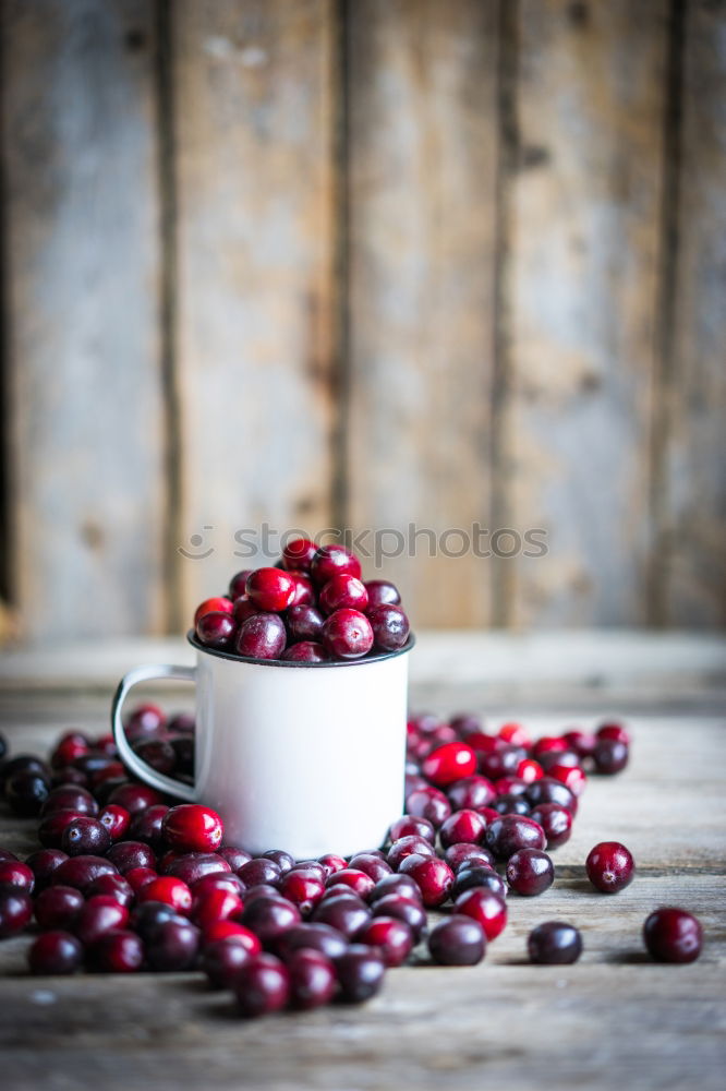 Similar – Cranberries in a bowl