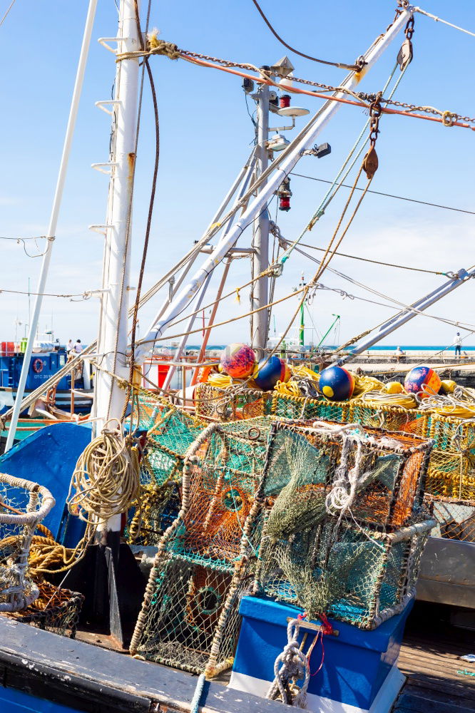 Similar – Image, Stock Photo fishing port Fisherman