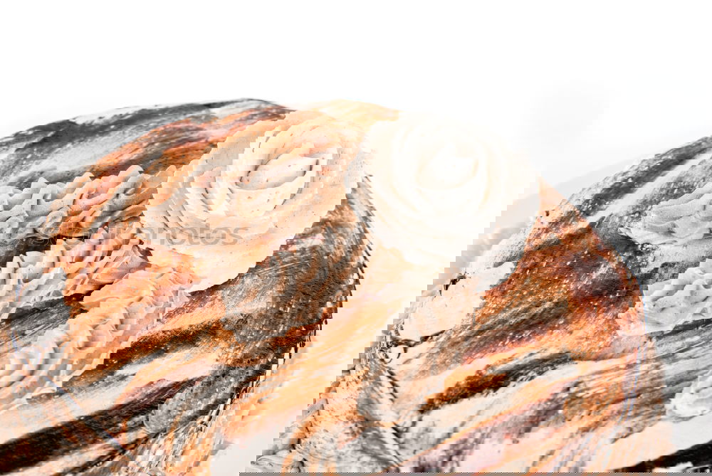 Similar – Image, Stock Photo cinnamon Food