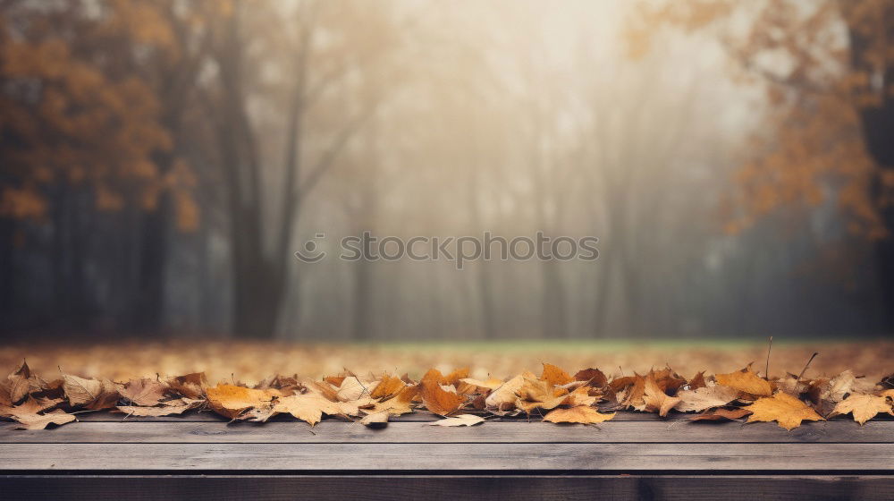 Similar – Foto Bild bunt, bunter, Herbst Blatt