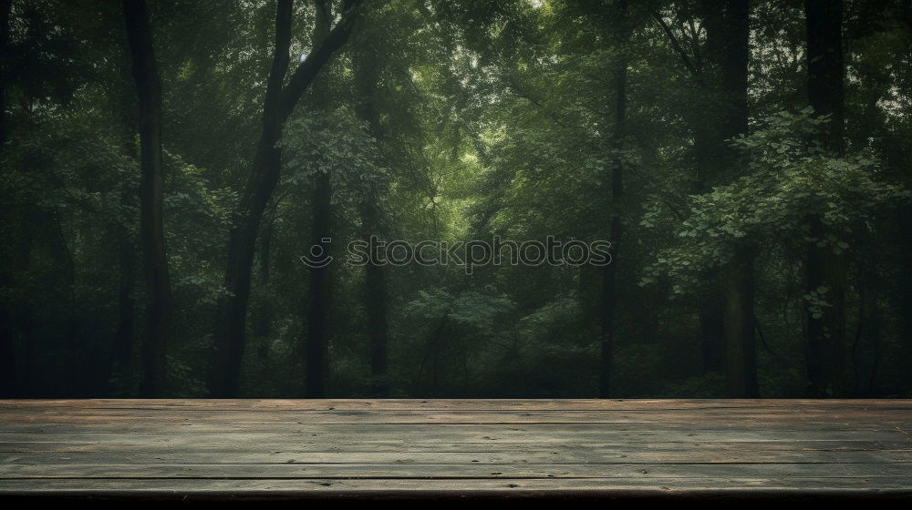 Similar – Image, Stock Photo At the lake Rowing Nature