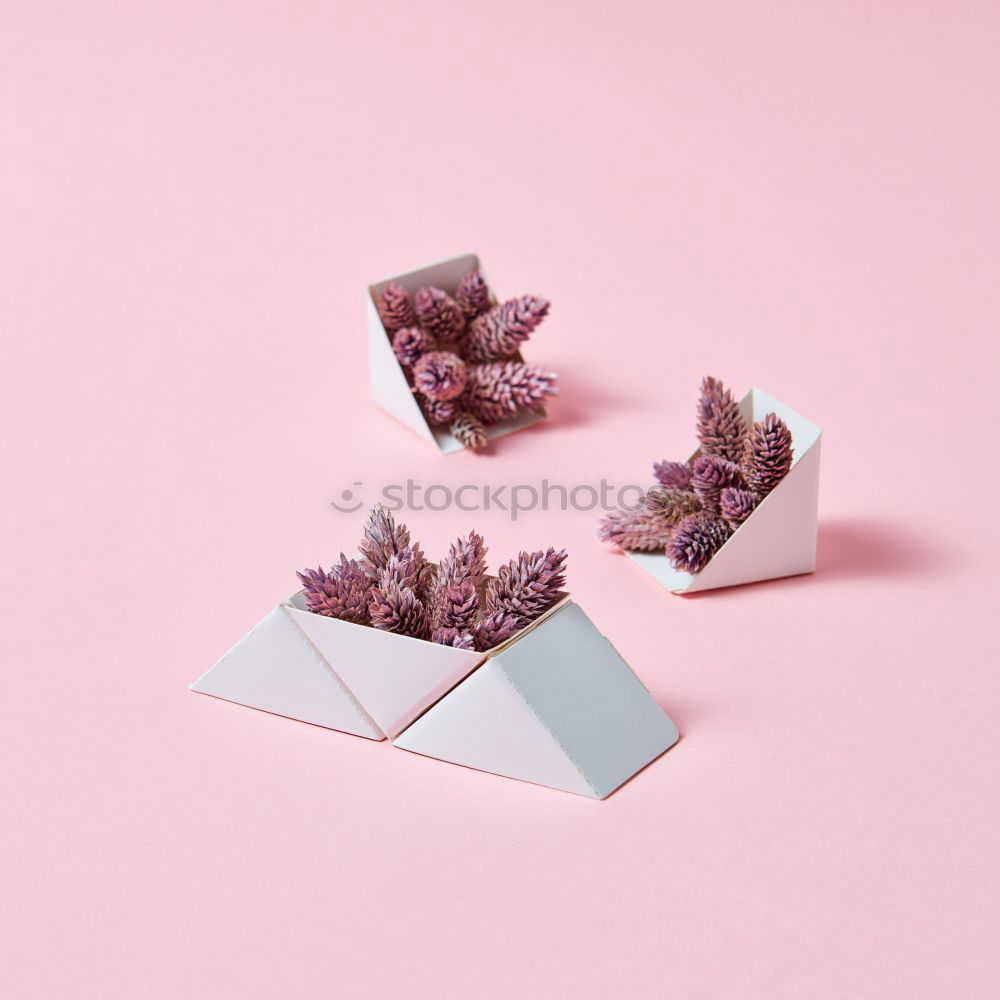 Similar – Image, Stock Photo White envelope with flowers on pink background