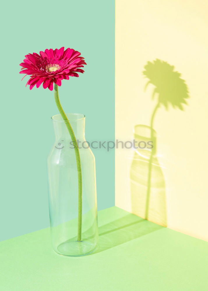 Similar – Image, Stock Photo Cosmetic bottle with pipette and flowers